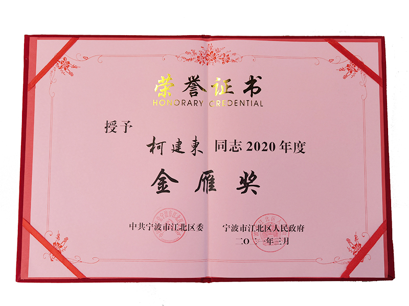 总裁柯建东荣获宁波市江北区2020年金雁奖